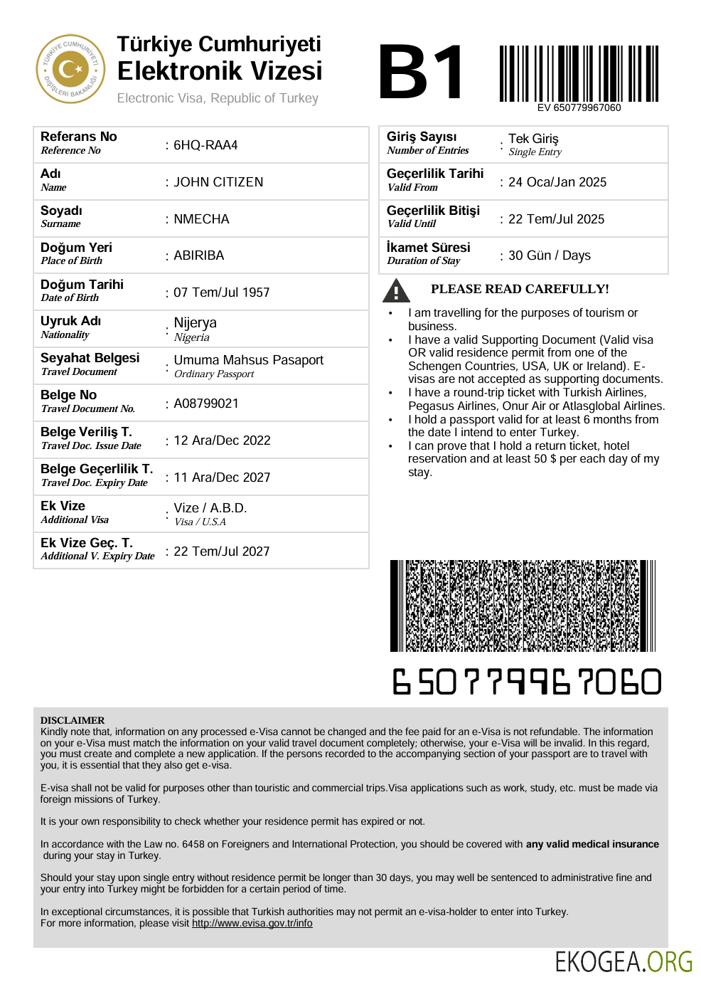 Modèle de visa électronique pour la Turquie aux formats Word et PDF